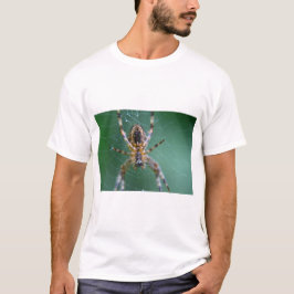 Camiseta Aranha