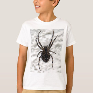 Camiseta Aranha-Aranha