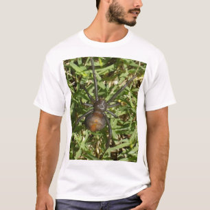 Camiseta Aranha Redback Sobre Grama Verde,