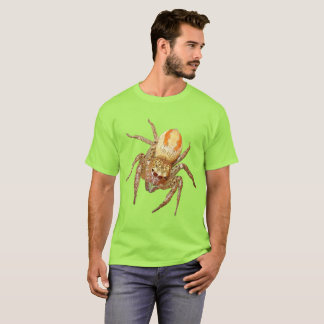 Camiseta Aranha Saltadora Dimórfica (Maevia inclemens)