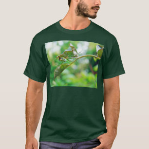Camiseta Aranha-tecedora-de-jardim - Leucauge venusta