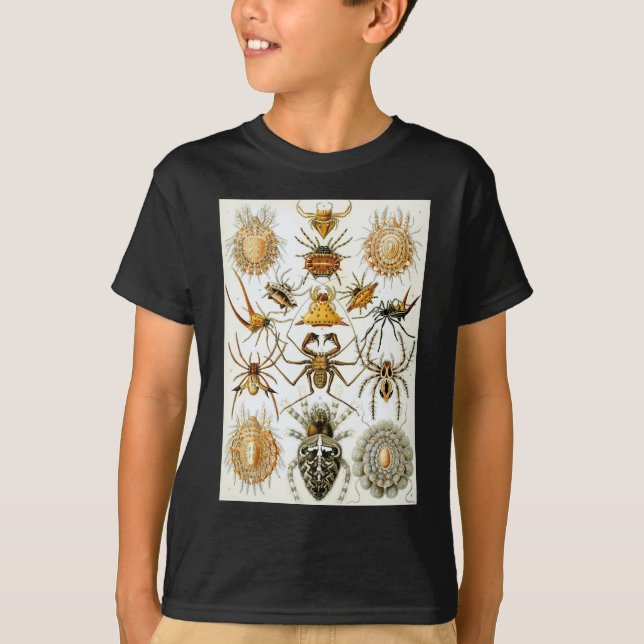 Camiseta Aranhas dos aracnídeos de Ernst Haeckel (Frente)