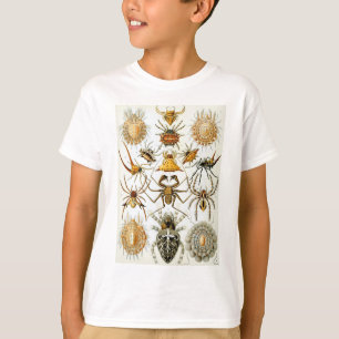 Camiseta Aranhas dos aracnídeos de Ernst Haeckel