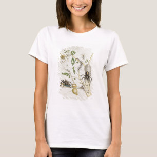 Camiseta Aranhas: Mygole, chapeia 18 de 'sobre de
