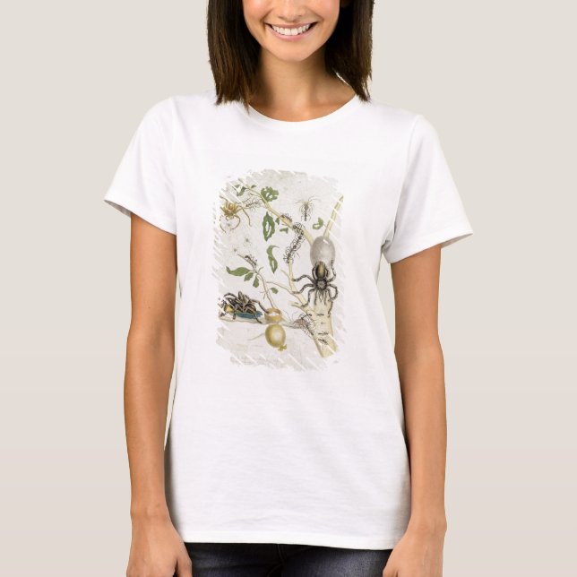 Camiseta Aranhas: Mygole, placa 18 de "Over de Voorteelin (Frente)