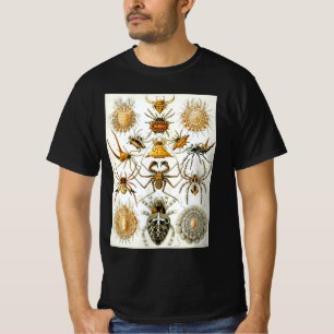 Camiseta Aranhas ou Aracnídeos Vintage por Ernst Haeckel