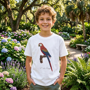 Camiseta Arara-vermelha, Ara macao