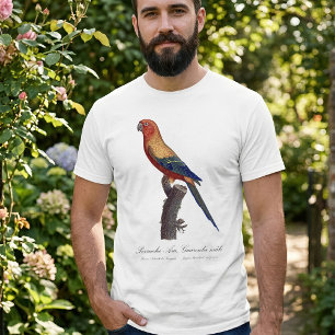 Camiseta Aratinga-sol, Aratinga Solstitialis