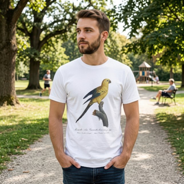 Camiseta Aratinga-solsticial ou Jandaia-solsticial Aratinga (Guarouba dans sons jeune age / Sun parakeet. Men Basic White T-Shirt)