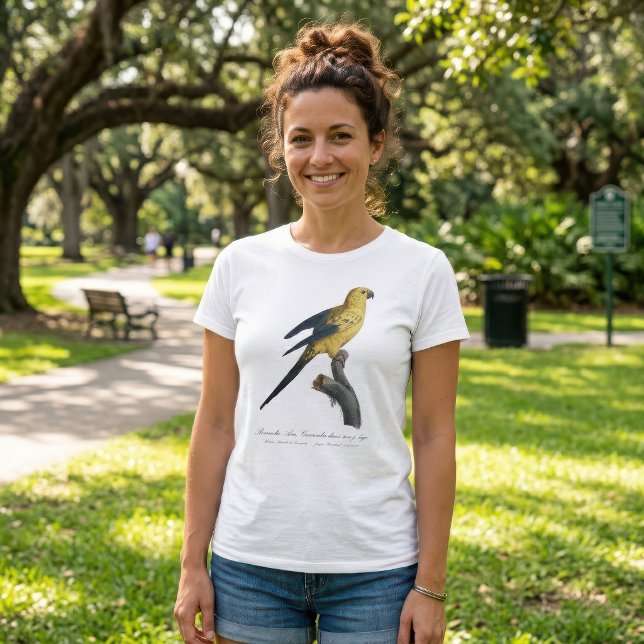 Camiseta Aratinga solstitialis (Guarouba dans sons jeune age / Sun parakeet. Women Basic White T-Shirt)