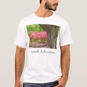 Camiseta Arboreto de Arnold no primavera