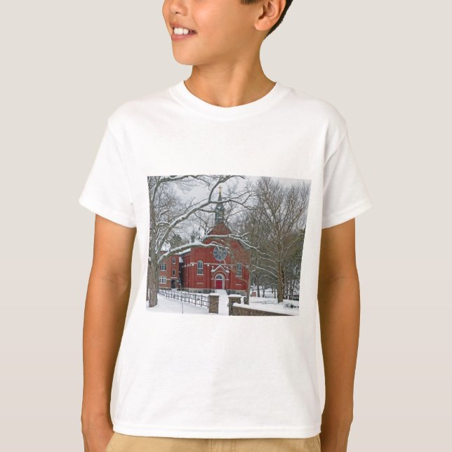 Camiseta Arcadia Academy (Frente)