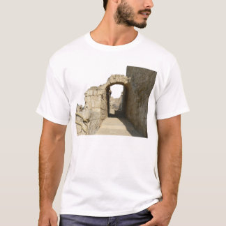 Camiseta Arco de Caesarea antigo