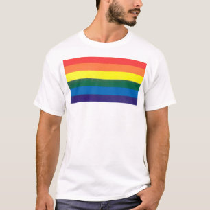 Camiseta arco-íris