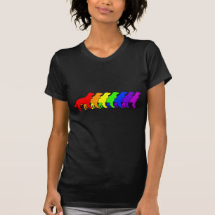 Camiseta Arco-íris AWS