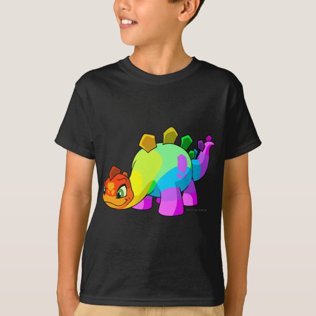 Camiseta Arco-íris de Chomby (Frente)