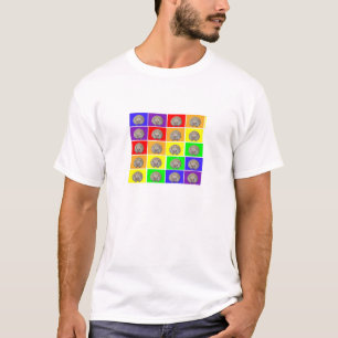 Camiseta Arco-íris do ouriço