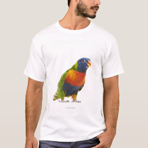 Camiseta Arco-íris fêmea Lorikeet - Trichoglossus