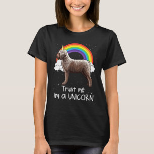 Camiseta Arco-íris Lagotti Romagnoli Confie Em Mim Sou Um U