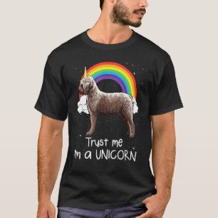 Camiseta Arco-íris Lagotti Romagnoli Confie Em Mim Sou Um U