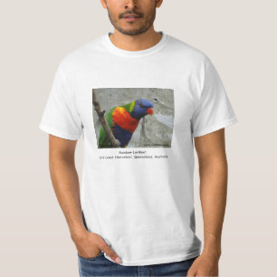 Camiseta Arco-íris Lorikeet