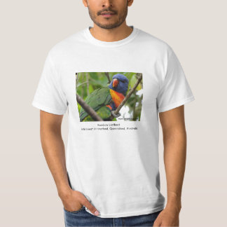 Camiseta Arco-íris Lorikeet