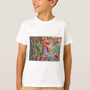 CAMISETA ARCO-ÍRIS LORIKEET QUEENSLAND RURAL AUSTRÁLIA