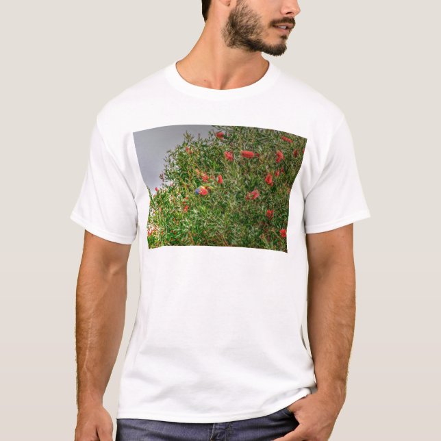 CAMISETA ARCO-ÍRIS LORIKEET QUEENSLAND RURAL AUSTRÁLIA (Frente)