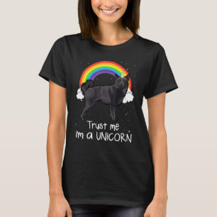 Camiseta Arco-íris Schipperke Confie Em Mim Sou Um Cão Unic