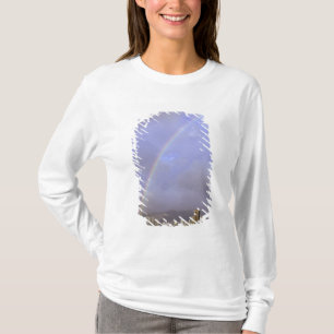 Camiseta Arco-íris sobre Honolulu, Havaí, EUA