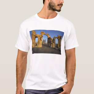 Camiseta Arco Monumental, Palmyra, Homs, Síria