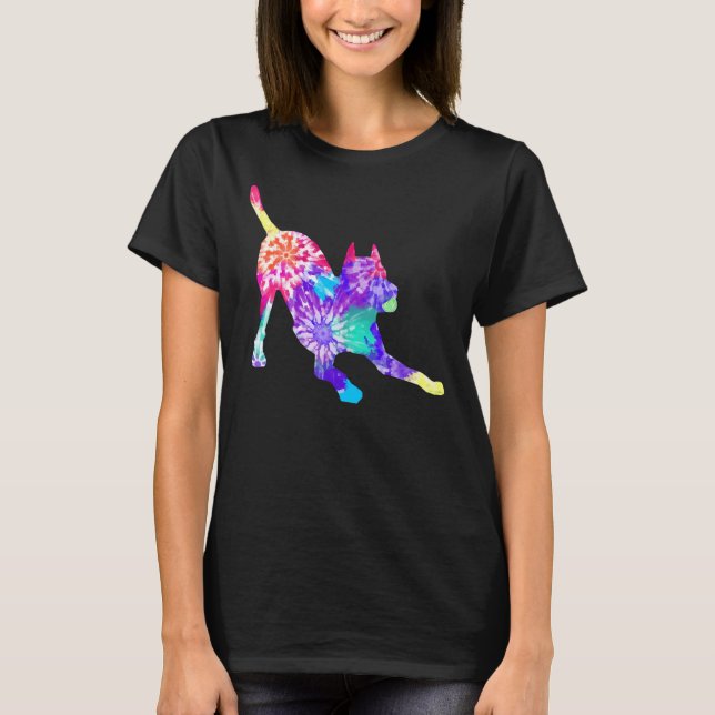 Camiseta Arco Tie Dye Pitbull Play (Frente)