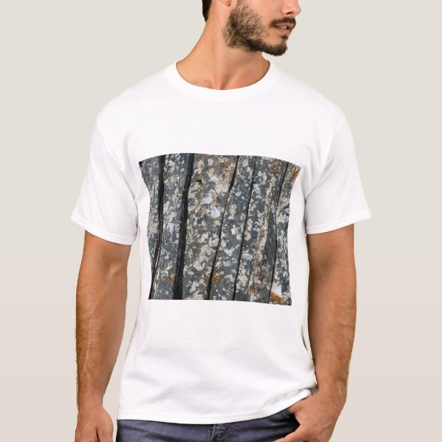Camiseta ardoises (Frente)