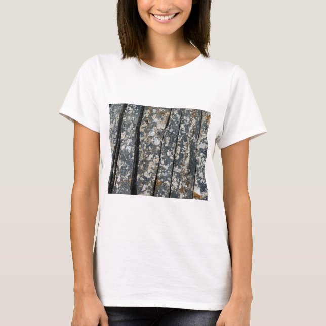 Camiseta ardoises (Frente)