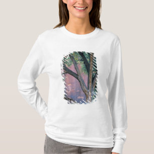 Camiseta Área de Recreação Nacional Glen Canyon, Utah. EUA.
