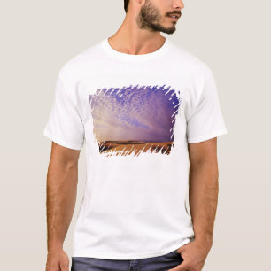 Camiseta Área Nacional de Recreação das Dunas de Oregon, Or