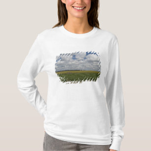Camiseta Argentina, Buenos Aires, San Antonio de Areco.