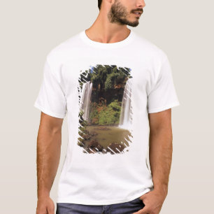 Camiseta Argentina, Iguaçu, cataratas do Iguaçu. Salto Dos