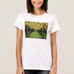 Camiseta Argentina, Mendoza, fileira da uva no vinhedo