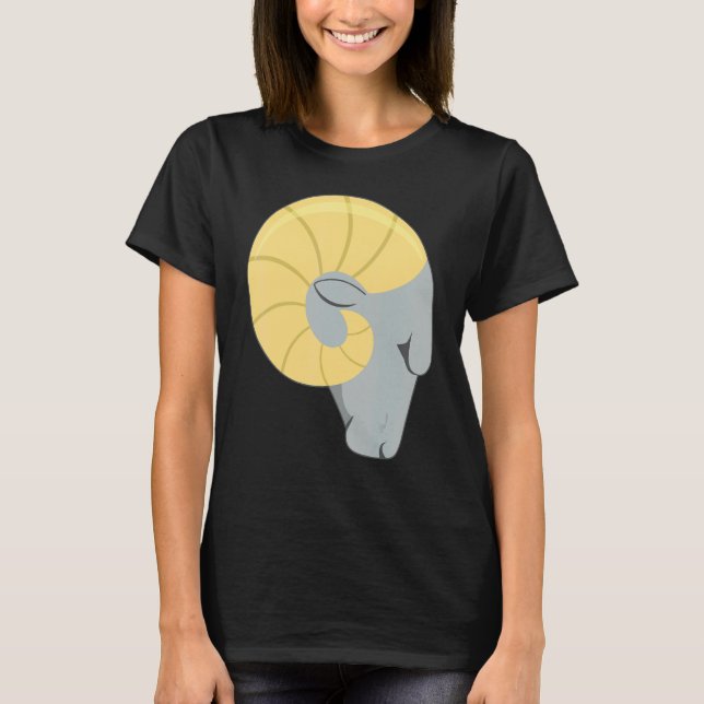 Camiseta Aries Mystic Zodiac Horoscope Astrologia Aniversár (Frente)