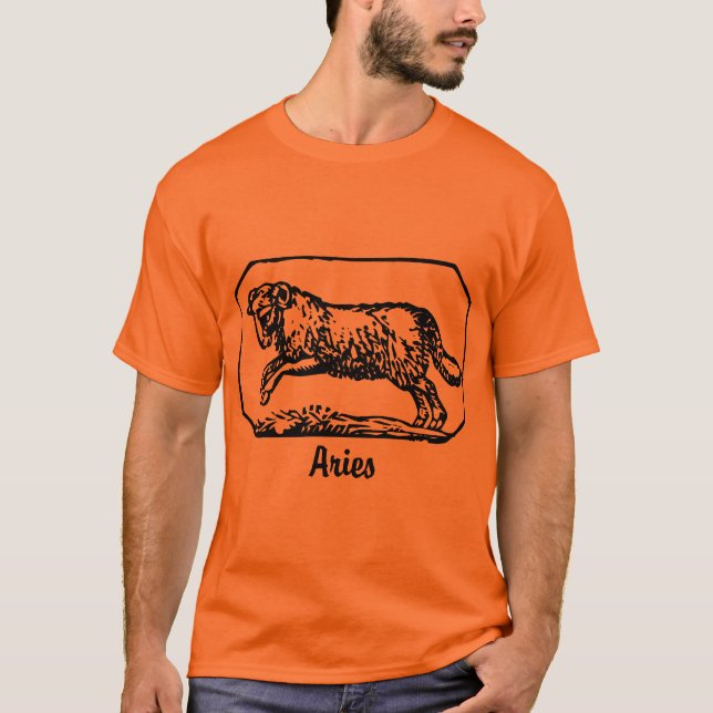 Camiseta Aries - Personalizado (Frente)