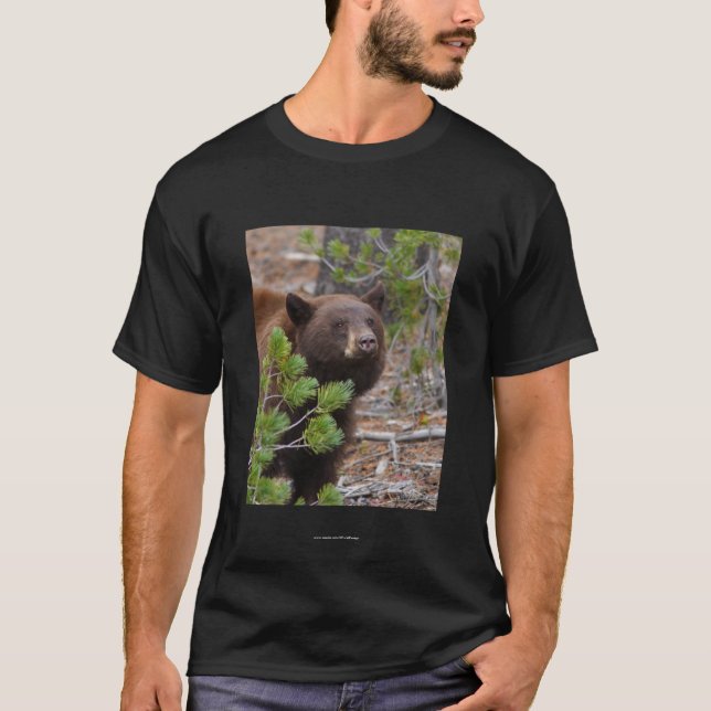 Camiseta Aristotle (Frente)