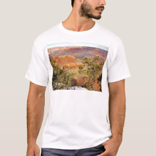 Camiseta Arizona 3 dos Grand Canyon