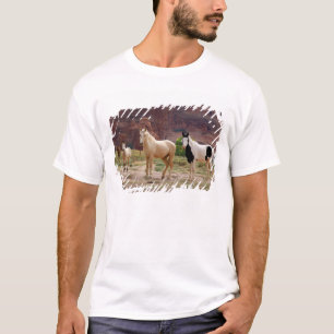 Camiseta Arizona, Reserva Indígena Navajo, Chinle,