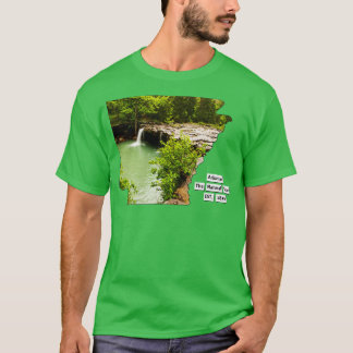 Camiseta Arkansas USA
