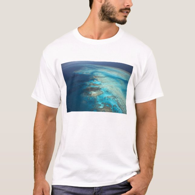 Camiseta Arlington Reef, Excelente Barrier Reef Marine Park (Frente)