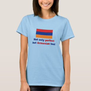 Camiseta Arménio perfeito
