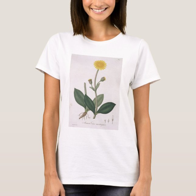 Camiseta Arnica Montana a partir de 'Phytographie Medicale' (Frente)