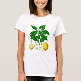 Camiseta Arte 7 botânica do impressão não do limão dos