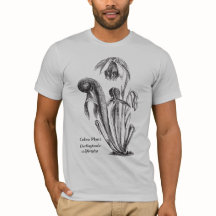 Arte botânica da planta da cobra